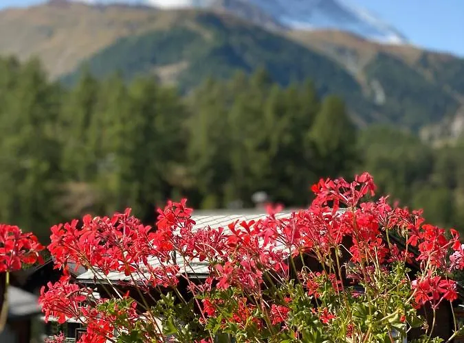 Bull 公寓 采尔马特