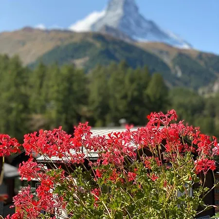 Bull Apartment Zermatt